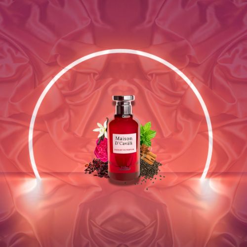 Maison D'Cavalli Loui Martin 100ML
